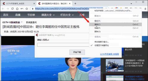 爆料获奖的视频下载软件,一网打尽全网热门视频，轻松下载无忧  第1张